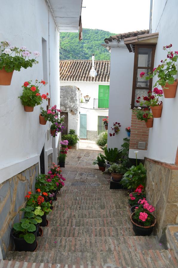 Casa La Puente Villa Jubrique Kültér fotó